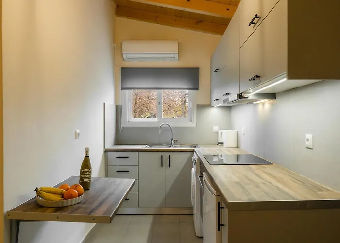 Lazydays In Analipsi Apartamento *